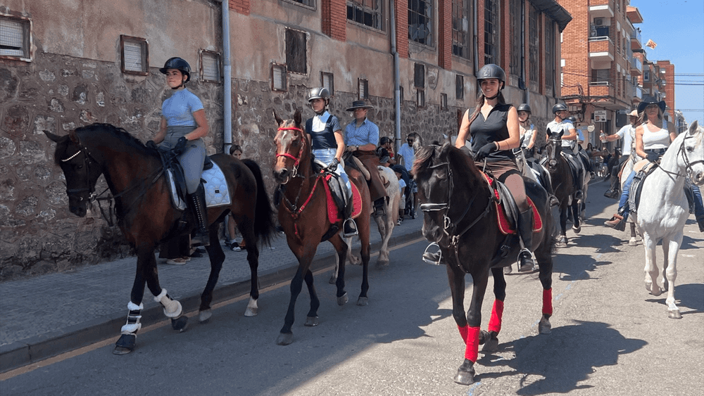La cavalcada en el seu pas pel passeig Diagonal.
