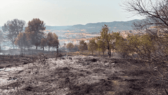Controlat l'incendi que s'ha originat darrere l'institut d'Artés 